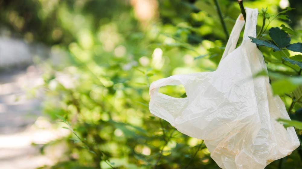 Eco Friendly Amidon de maïs biodégradable sac compostable des